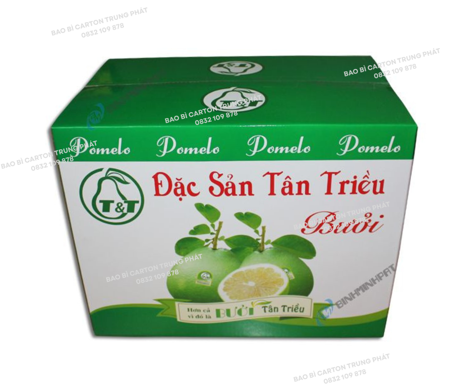 Thùng Carton Đựng Thực Phẩm Đông Lạnh