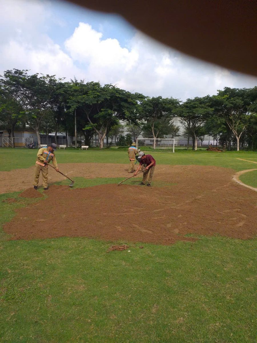 Công ty cắt cỏ chuyên nghiệp tại Bình Dương